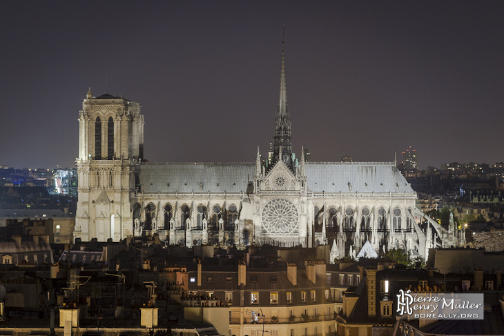 Notre Dame de Paris depuis les toits de Paris la nuit