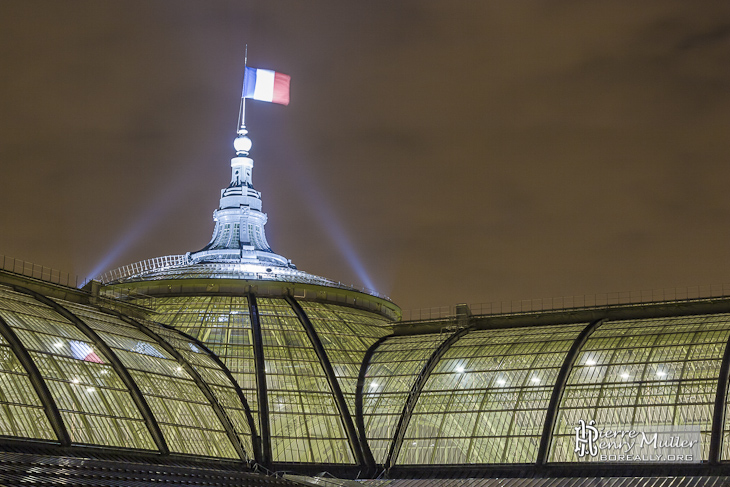 Dôme, flèche et verrière du Grand-Palais de nuit