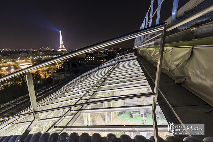 Sur la verrière du Grand-Palais et vue sur la Tour Eiffel et Paris de nuit