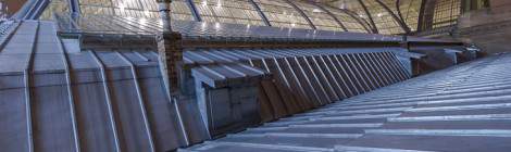 ...La surface des toits du Grand Palais en dehors de la verrière est très grande....