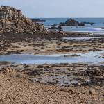 Côte Est de l'Ile de Bréhat à marée basse