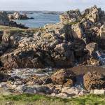 Côte rocheuse bretonne sculptée par la mer sur l'Ile de Bréhat