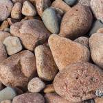 Galets de granite rose de grande taille à l'Ile de Bréhat