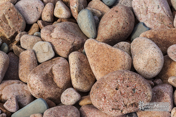 Galets de granite rose de grande taille à l'Ile de Bréhat