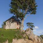Maison et son arbre surplombant la baie du port de l'Ile de Bréhat