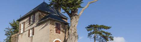 ...Maison et son arbre surplombant la baie du port de l’Ile de Bréhat...