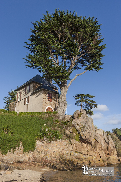Maison et son arbre surplombant la baie du port de l'Ile de Bréhat
