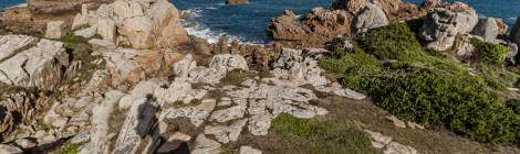 ...La côte sauvage au nord de l’Ile de Bréhat offre un paysage marin très riche. L’ombre du photographe agrémente l’ombre du rocher....