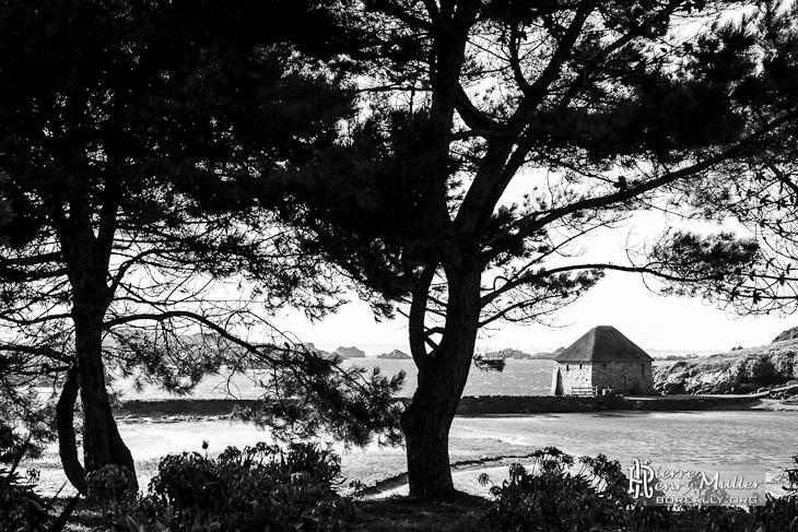 Paysage en noir et blanc du moulin à marée à l'Ile de Bréhat