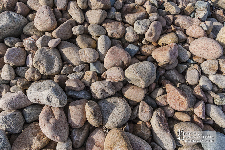 Texture de galets de granite rose de taille moyenne sur l'Ile de Bréhat