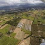 Champs de canne à sucre vue du ciel à proximité de Saint-Pierre Réunion