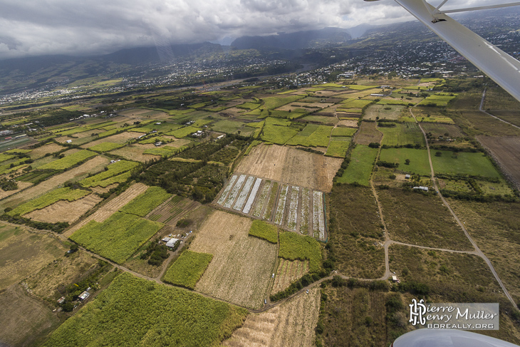 Champs de canne à sucre vue du ciel à proximité de Saint-Pierre Réunion