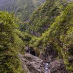 Contre bas de la chute de Bras Patience à Takamaka