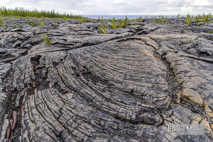 Coulée de lave pahoehoe à la Réunion à l'Est du Piton de la Fournaise