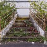 Escalier reprit par la végétation dans un hôtel en friche