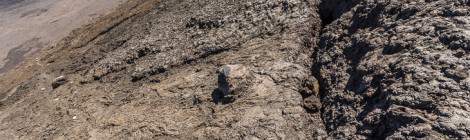 ...Faille et coul&eacute;e de lave sur les pentes du Piton de la Fournaise...