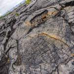 Fissure colorée sur une coulée de lave pahoehoe à la Réunion