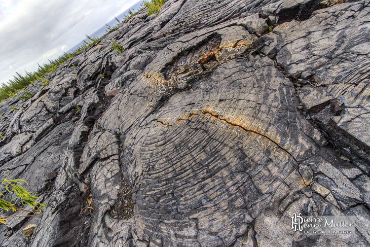 Fissure colorée sur une coulée de lave pahoehoe à la Réunion