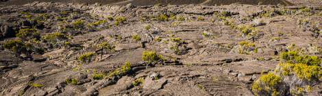 ...Ce cône volcanique composé de scories rougeâtres est un élément incontournable après la descente du Pas de Bellecombe dans l’enclos Fouqué....