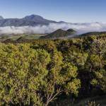 Panoramique vers le Piton des Neiges à la Réunion