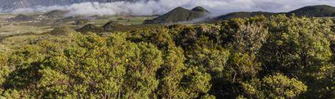 ...Panoramique vers le Piton des Neiges à la Réunion...
