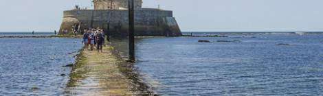 ...Le chemin d&rsquo;acc&egrave;s se r&eacute;v&egrave;le &agrave; mar&eacute;e descendante pour acc&eacute;der &agrave; pied au phare de Cordouan. Il est agr&eacute;able d&rsquo;arriver quand le chemin n&rsquo;est pas encore totalement d&eacute;couvert....