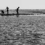 Pêcheurs à pieds sur le plateau de Cordouan