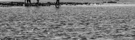 ...Des p&ecirc;cheurs &agrave; pieds profitent de la mar&eacute;e descendante sur le plateau de Cordouan &agrave; proximit&eacute; du phare pour prendre des coquillages....